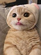 手机号码数字0-9的爱情寓意