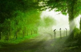 生日号在手机靓号中算是个性号的一种。8位号码在靓号中可以称得上是一号难求的号码了,因为它比8888,66666这样的连号还要稀少。